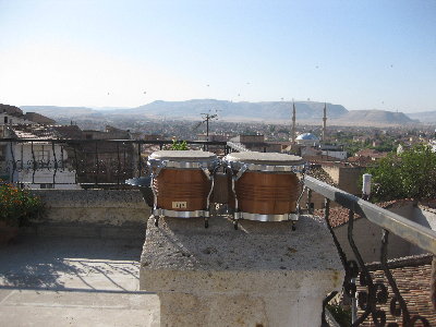 IMG_0204.JPG