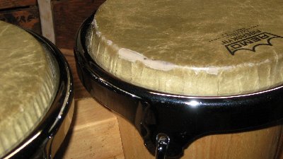 bongo 1.jpg