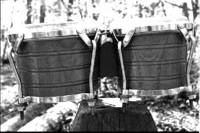 bongos lp 1st.jpg