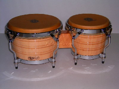 Generation_III_Bongo.jpg