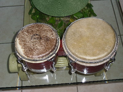 SAM_0140.JPG