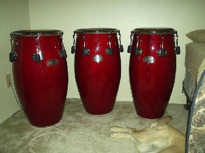 post-14-62796-post_14_87942_3_GonBops_II.jpg (49.58 KiB) Viewed 6560 times post-14-62796-post_14_87942_3_GonBops_II.jpg