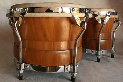 bongo 8.jpg