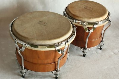 BONGO 5.jpg