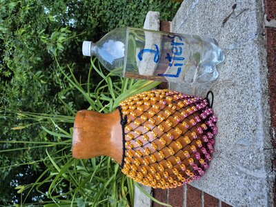20260608_202451.jpg