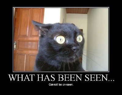what_has_been_seen.jpg (21.09 KiB) Viewed 25374 times what_has_been_seen.jpg